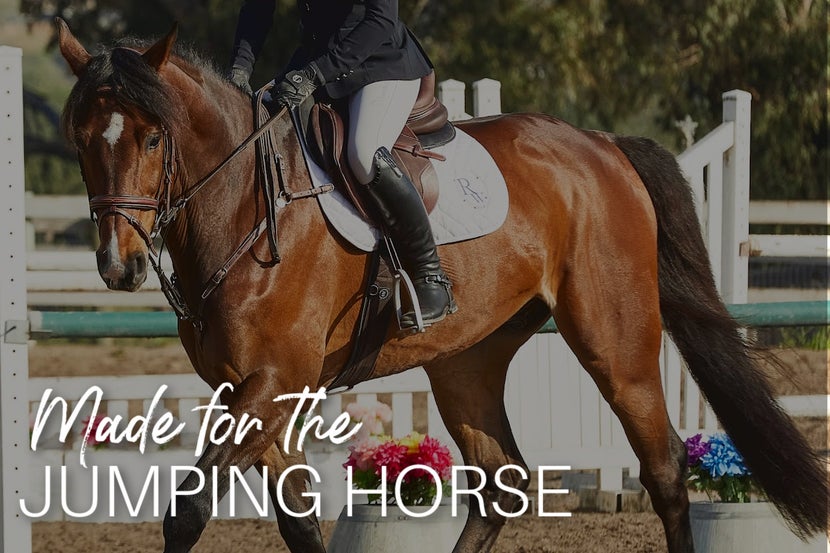 Professional's Choice Boots for the Jumping Horse- show jumping, hunter jumpers